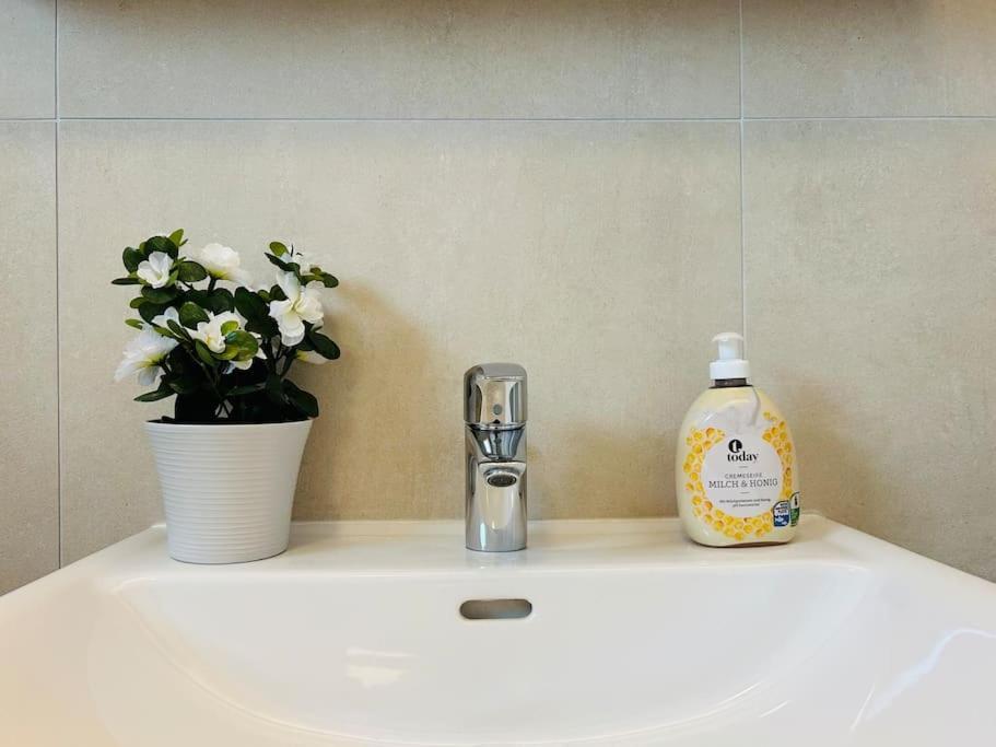 Modern Stylish With Garden Viena