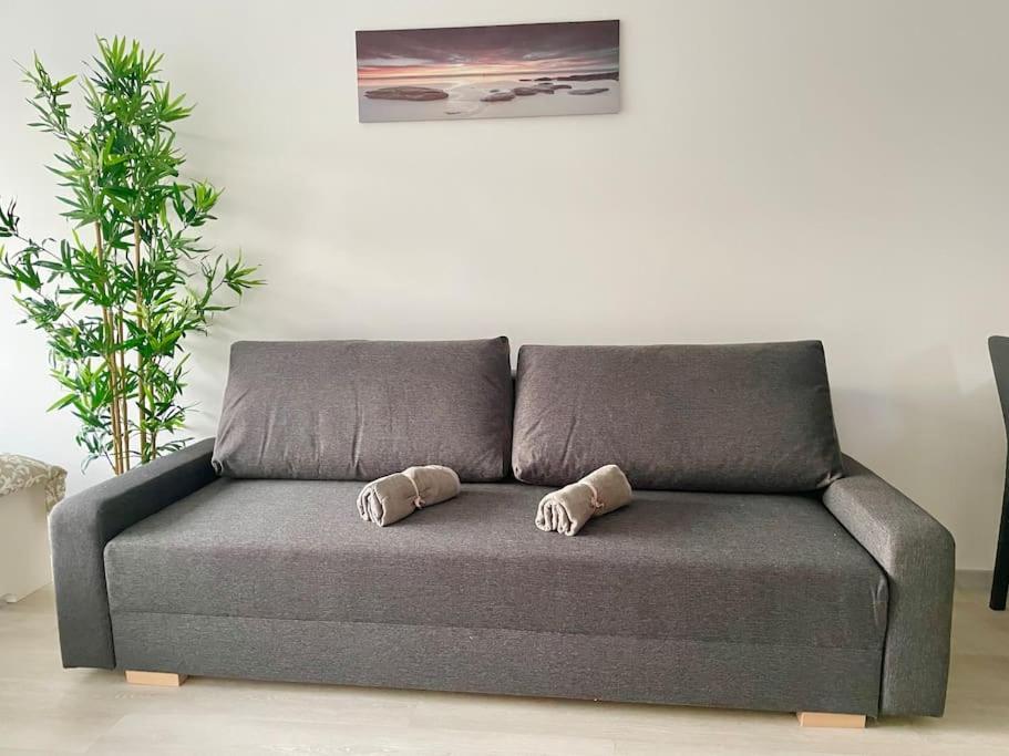 Apartament Modern Stylish With Garden Viena