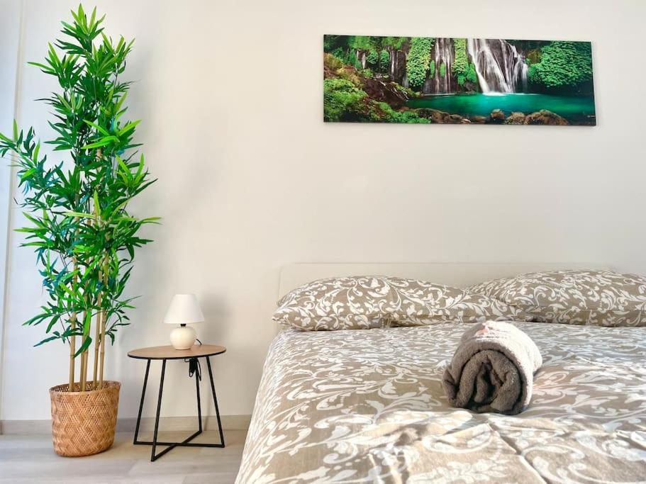 Modern Stylish With Garden Apartament *